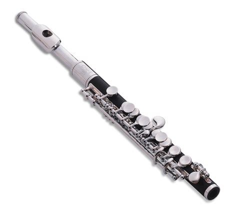 piccolo musical instrument|small flute is called.